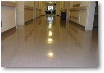 Brite-Beauty Brite-Beauty